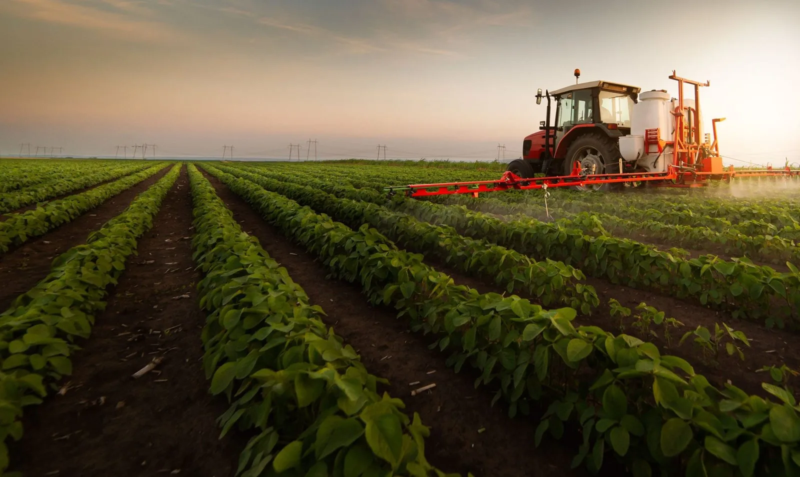 Farmers Earned Extra PKR400 billion on 5 major crops