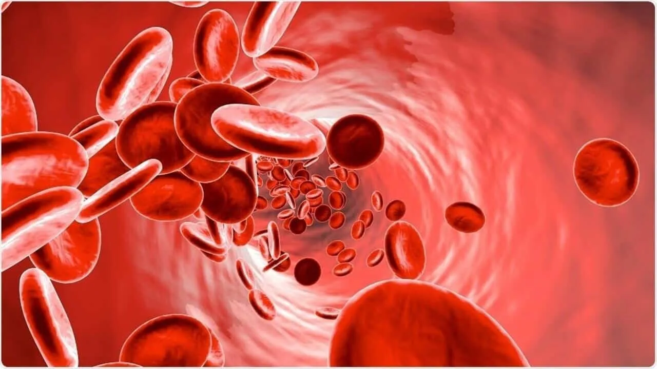 Thalassemia law