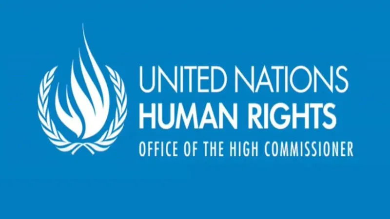 UN human rights