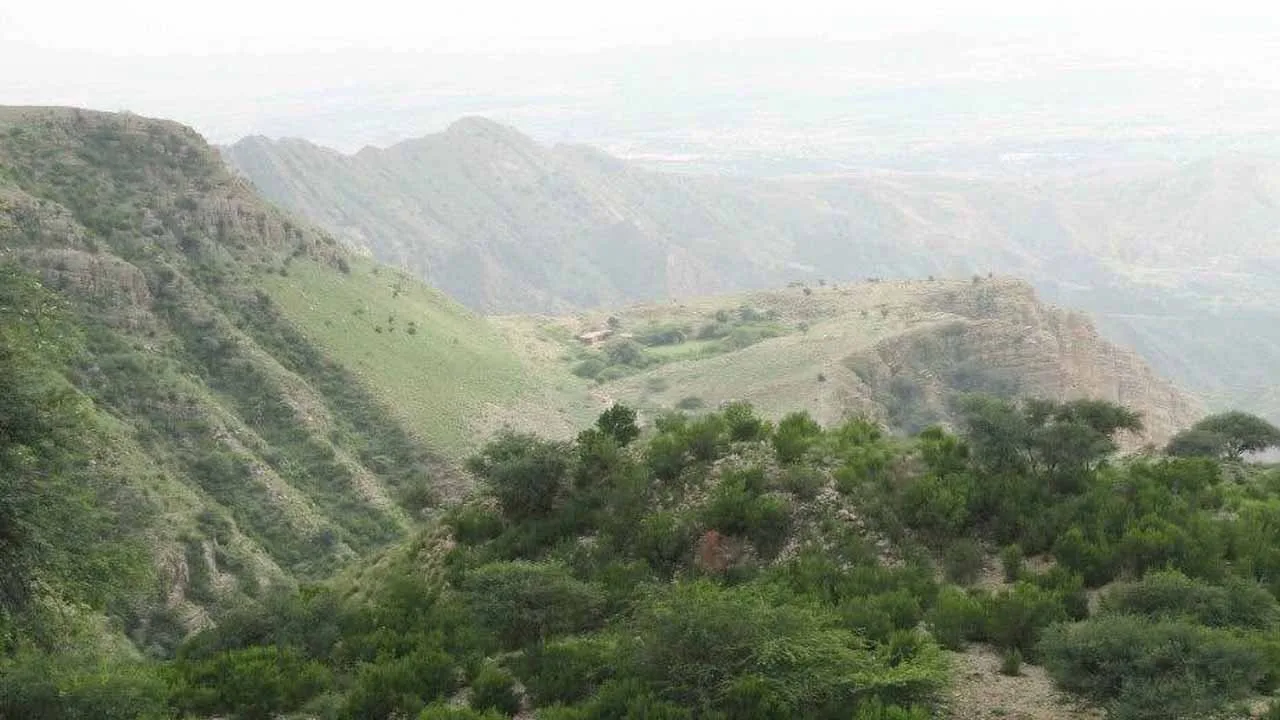 Historical Buildings in Sheikh Badin to be restored
