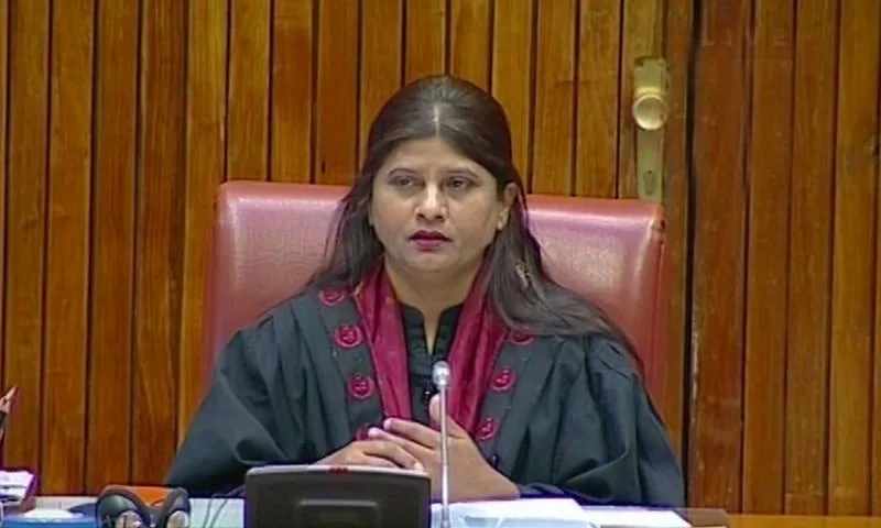 'Great honour': Hindu senator chairs session expressing solidarity with Kashmiris