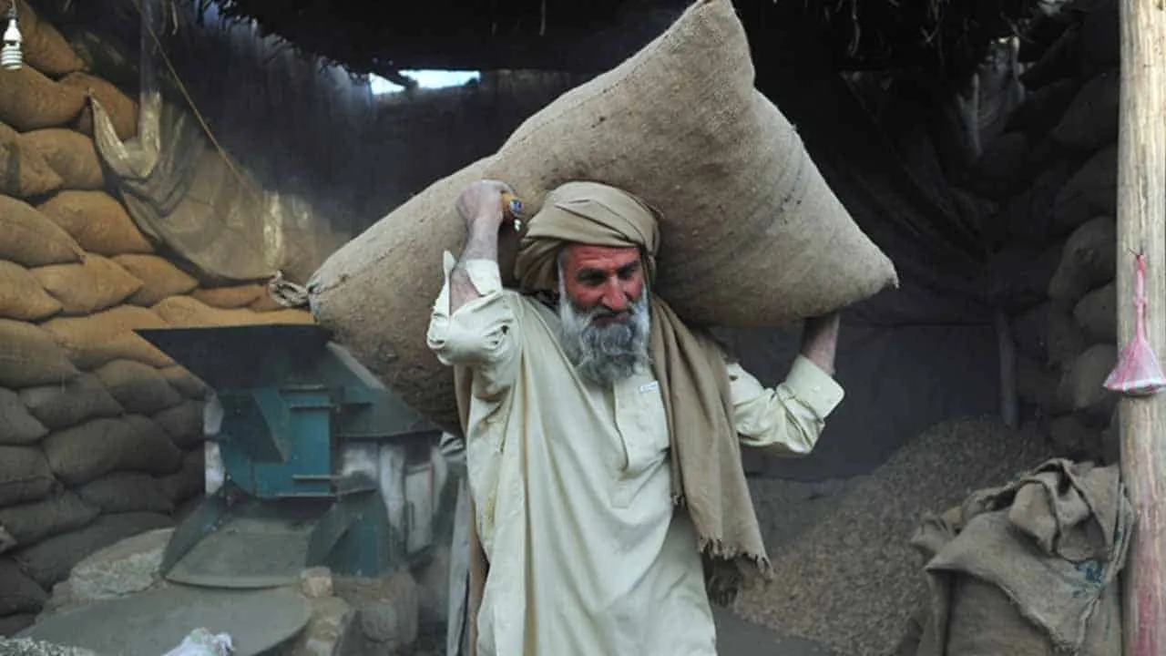 Pakistan to disburse Rs1.4 trillion to help marginalized social segments – finance chief