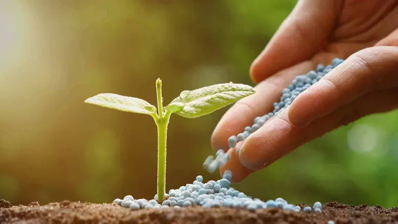 Govt to ensure timely supply of soil nutrients to farmers: Khusro