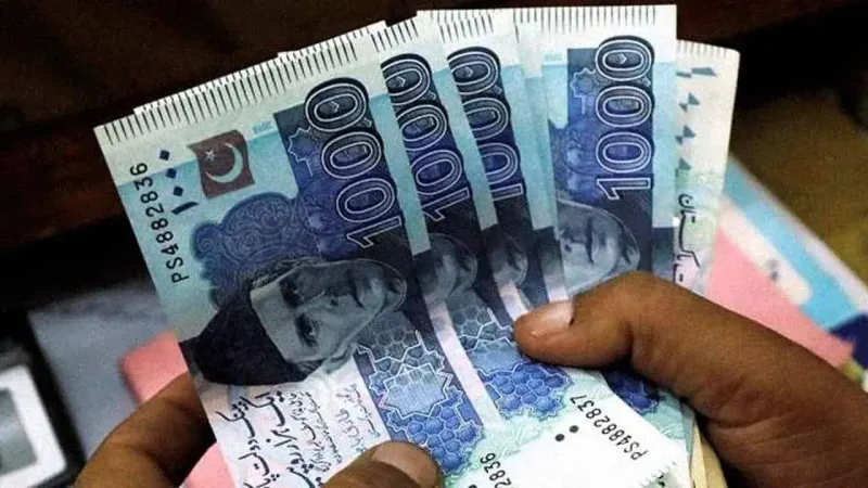 Govt raises Rs376 billion through PIBs