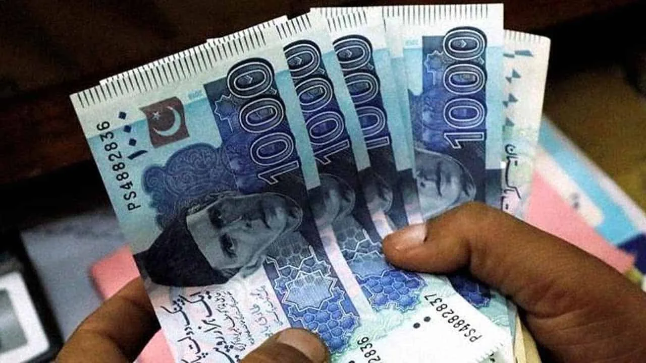 Govt raises Rs376 billion through PIBs