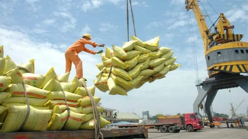 Rice export to China rises 3.9% 