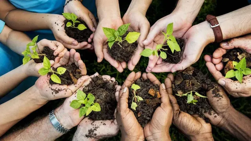 Sweden to help Pakistan deal with climate change