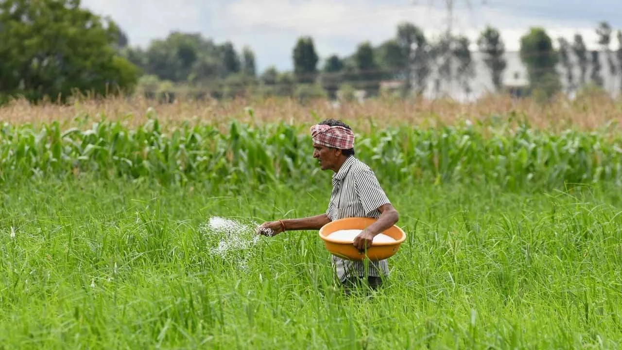 Govt to import 200,000 tonnes of urea for kharif