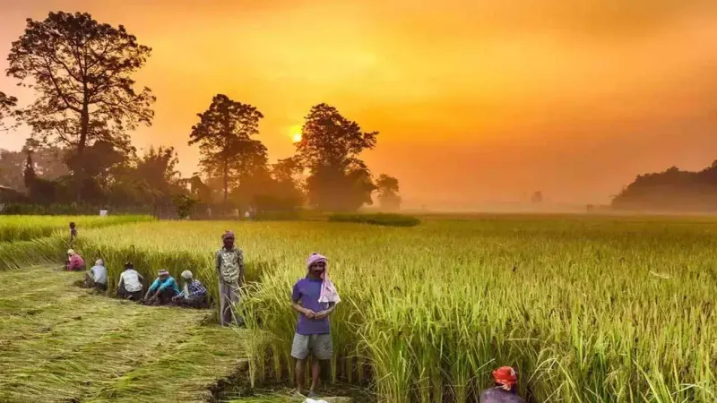 NA wants concerted efforts to improve the agricultural sector