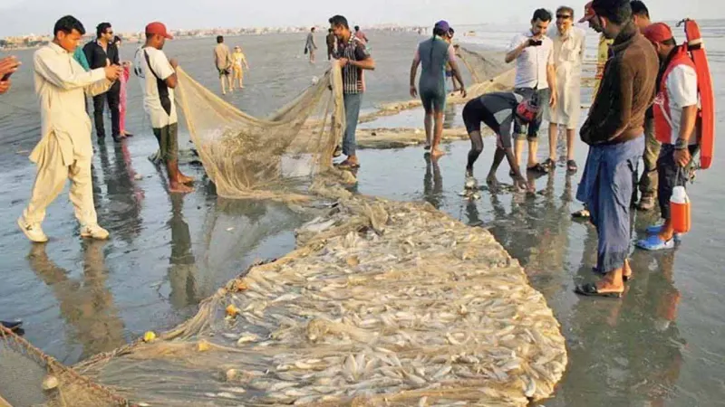 Chinese entrepreneur signs agreement worth $50 million for seafood export