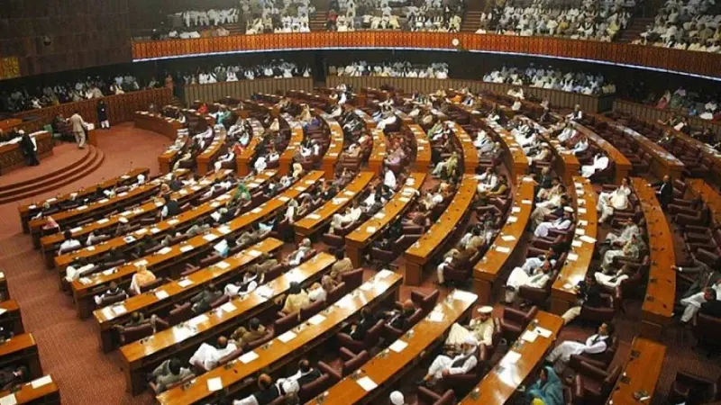 Senate approves bills seeking election reforms and amendments to NAB laws