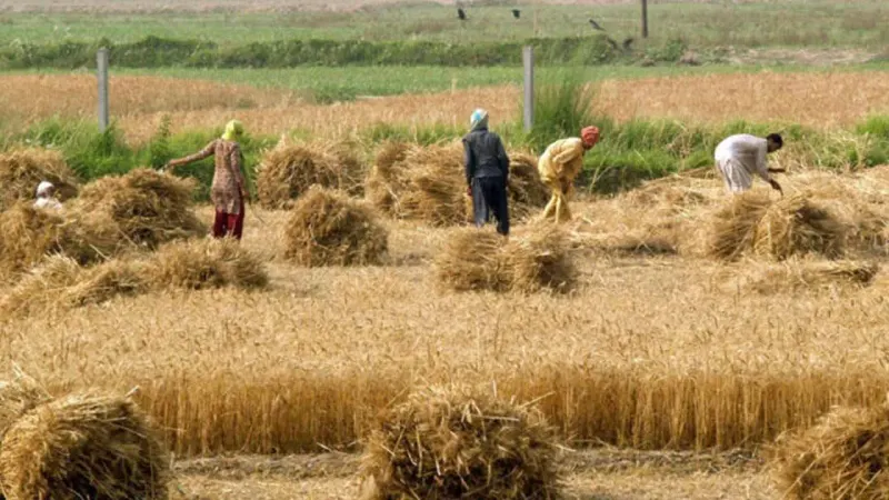 Pakistan, China sign MoU to boost agricultural cooperation