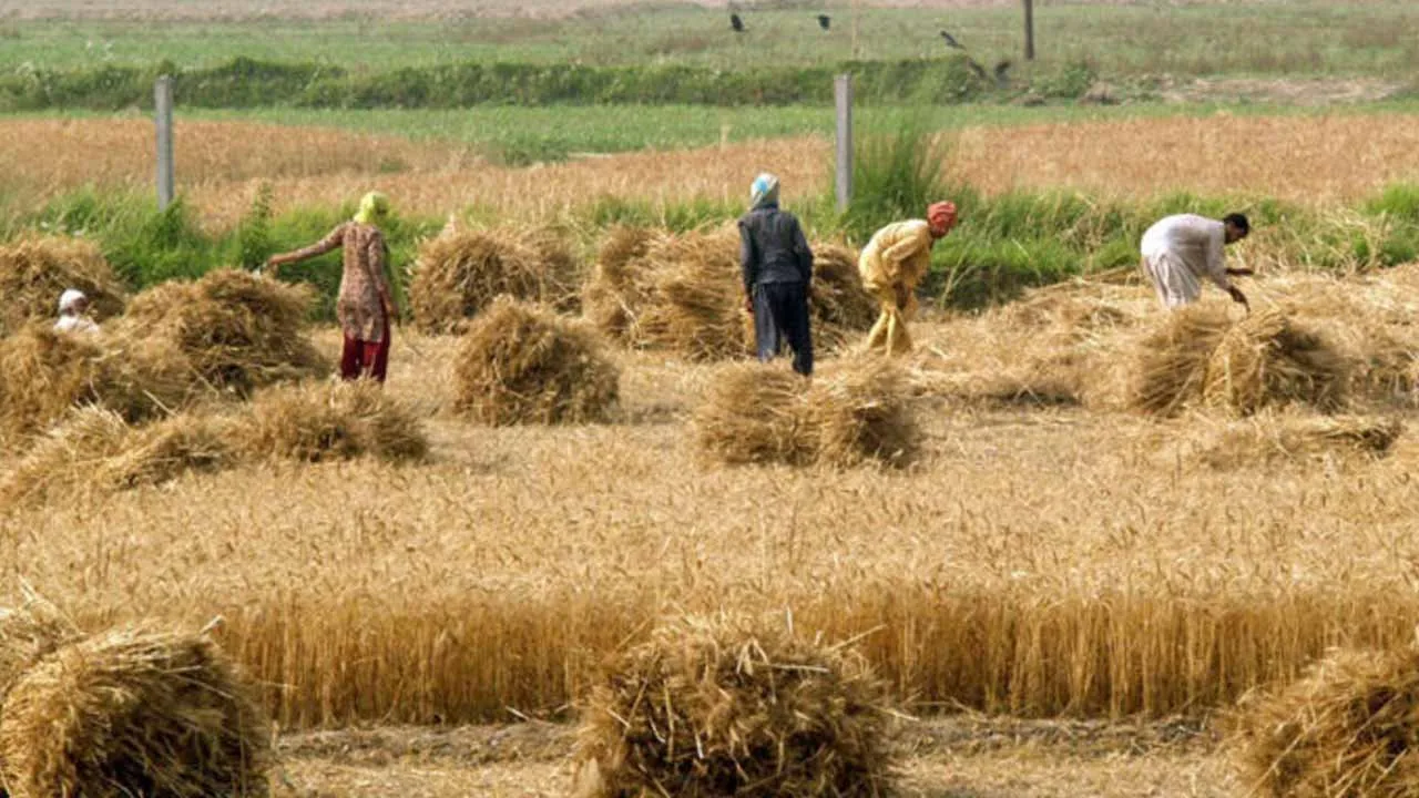 Pakistan, China sign MoU to boost agricultural cooperation