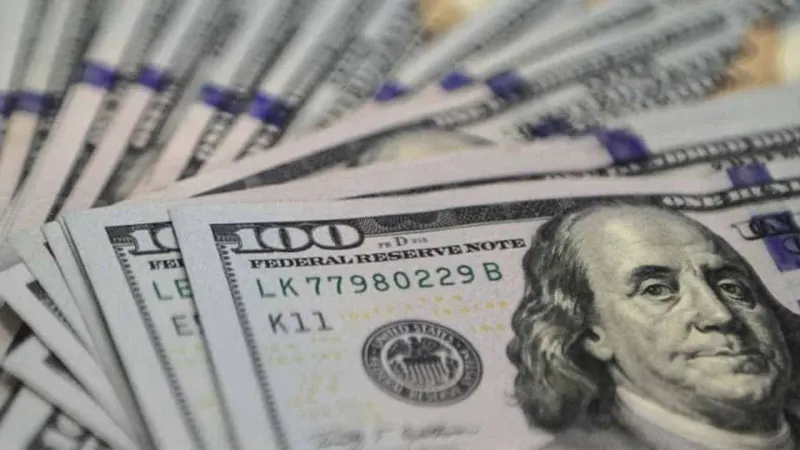 Pakistan received $5.1bn in foreign loans in July-November