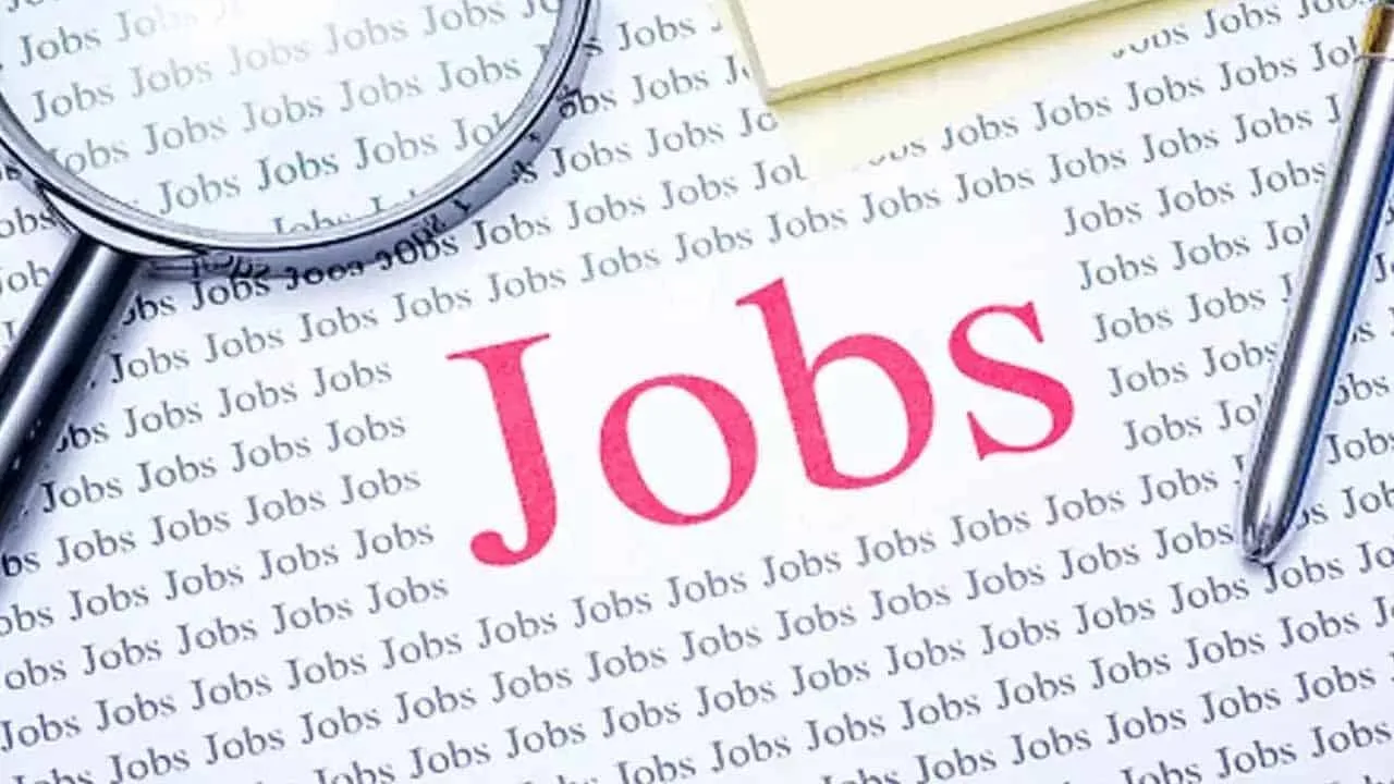 Pakistan’s employment rate shrinks