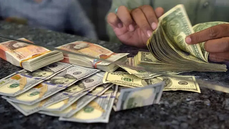 Govt will not take over commercial banks’ dollars, clarifies Dar