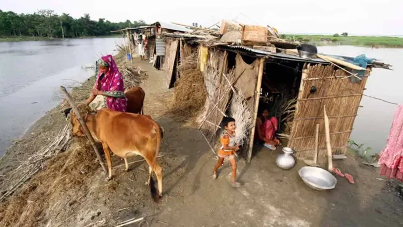 SAU Offers Free Treatment for Flood-Affected Animals