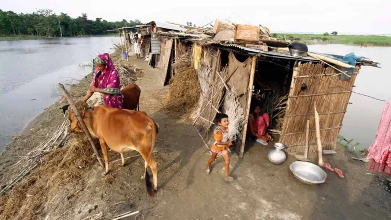 SAU Offers Free Treatment for Flood-Affected Animals