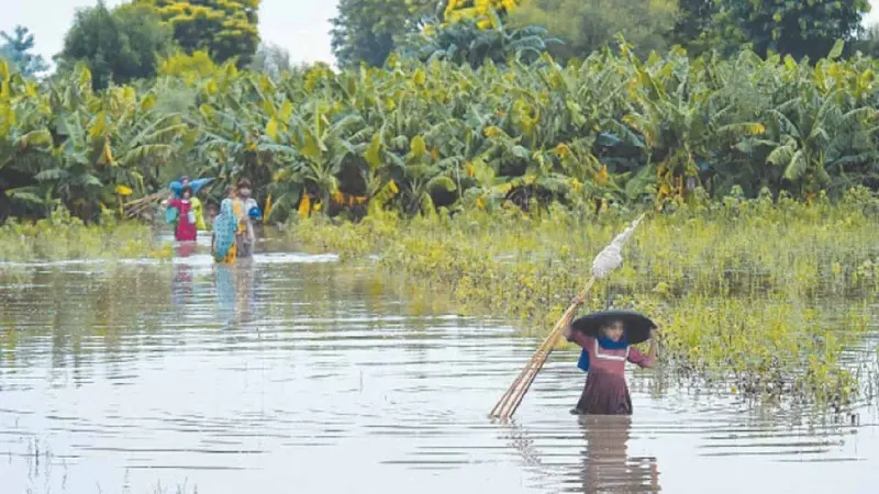 SBP sets higher Rs1.8tr agriculture credit target to help flood-hit farmers