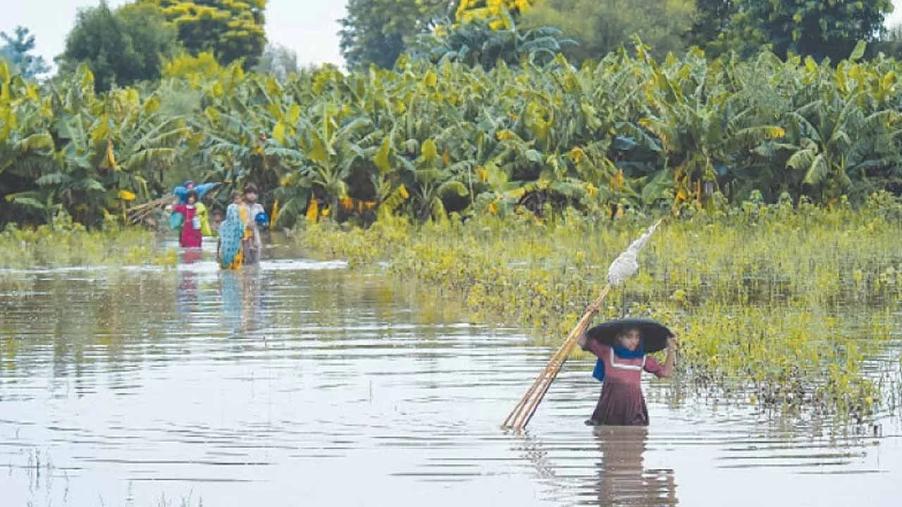 SBP sets higher Rs1.8tr agriculture credit target to help flood-hit farmers