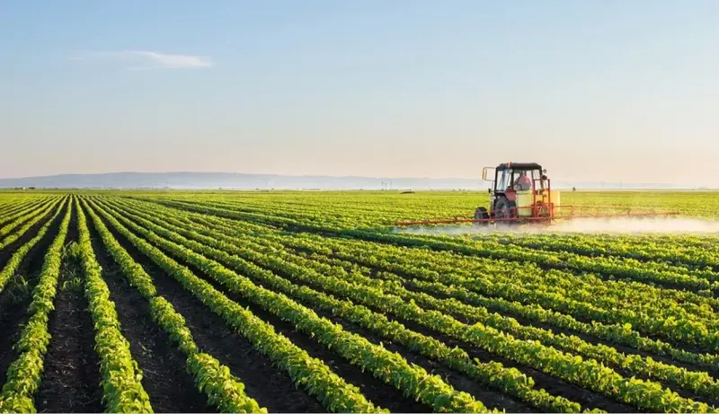Govt plans to improve the Agriculture sector