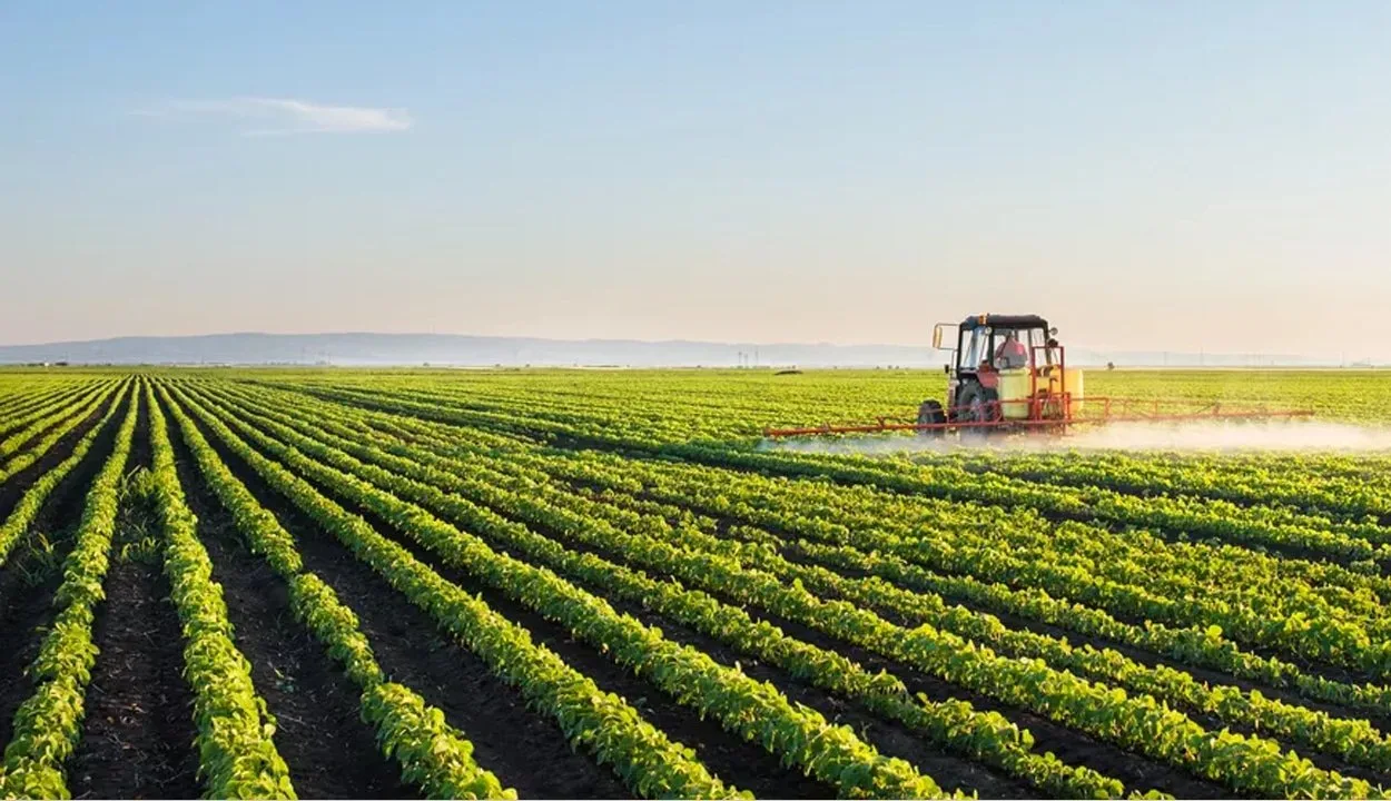Govt plans to improve the Agriculture sector