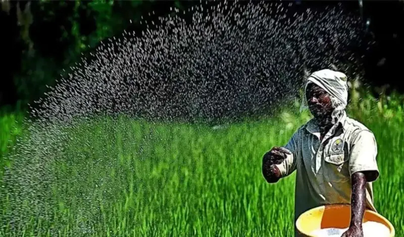 Fertilizer industry strongly opposes DAP import through TCP