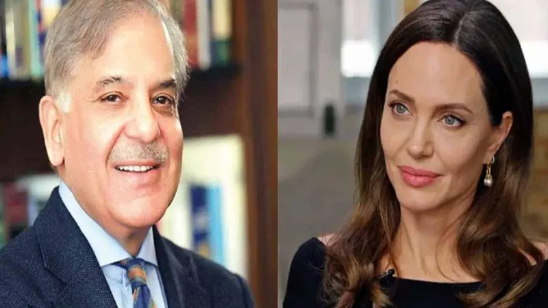 Pakistan thanks Angelina Jolie, unsung heroes for becoming voice of flood victims