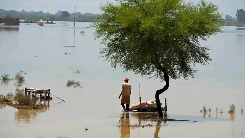 Pakistan, UN to jointly launch flash appeal for flood relief, rehabilitation activities in Geneva today