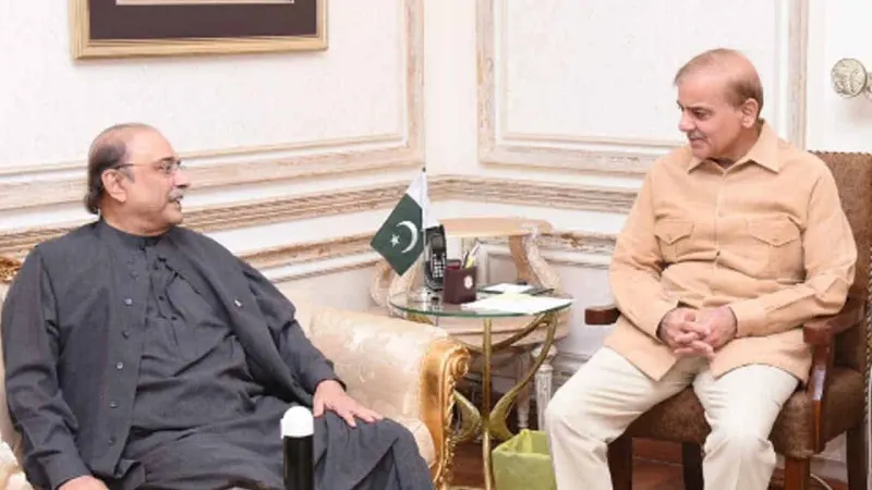 Asif Zardari, PM Shehbaz 'agree' on taking tough decisions to revive economy