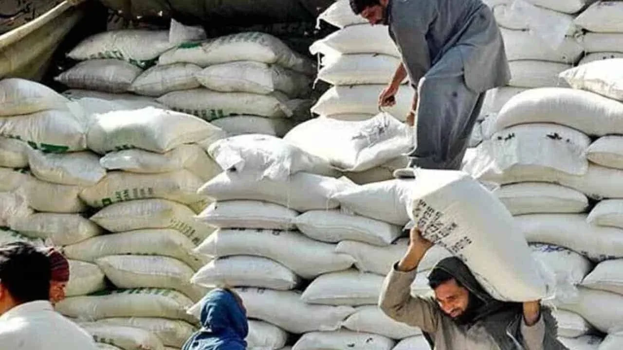 Govt establishes 64 sale points in Karachi to provide flour at discounted rates