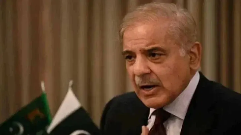 PM Shehbaz Sharif Calls for Unity Against 'Anti-Pakistani Elements'