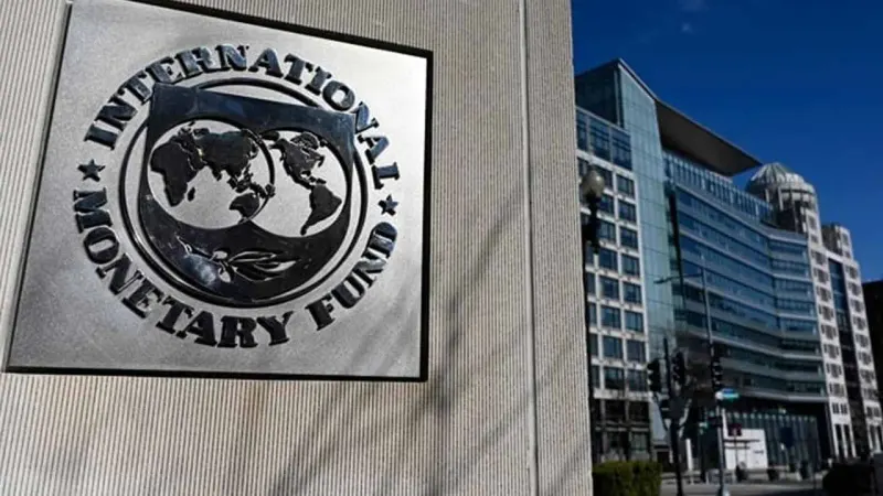 IMF Expresses Concerns Over Petrol Subsidy for Low-Income Groups Without Consultation