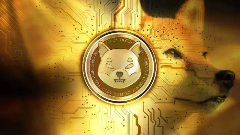3.5 Trillion Shiba Inu Moved Ahead Of Binance Upgrade