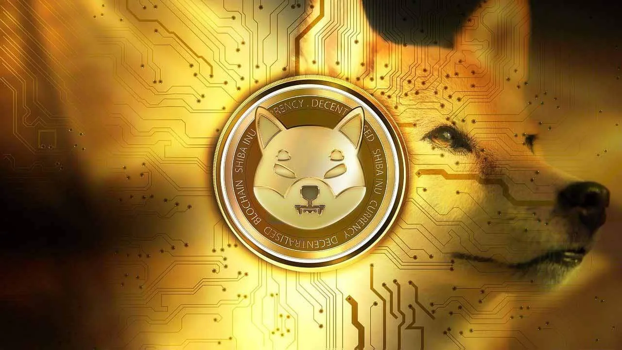3.5 Trillion Shiba Inu Moved Ahead Of Binance Upgrade