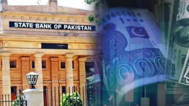 The private sector experiences a 74% decrease in bank lending