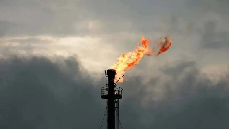 PPL discovers hydrocarbon reserves in Sindh
