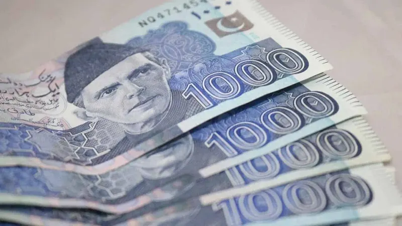Profit rates increased significantly on national savings schemes