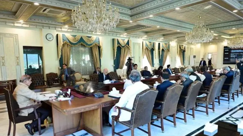 PM Shehbaz calls for fast-track implementation of solarisation project