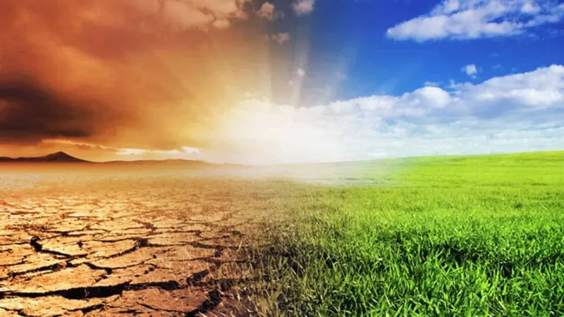 A Pakistani startup is declaring war on climate change