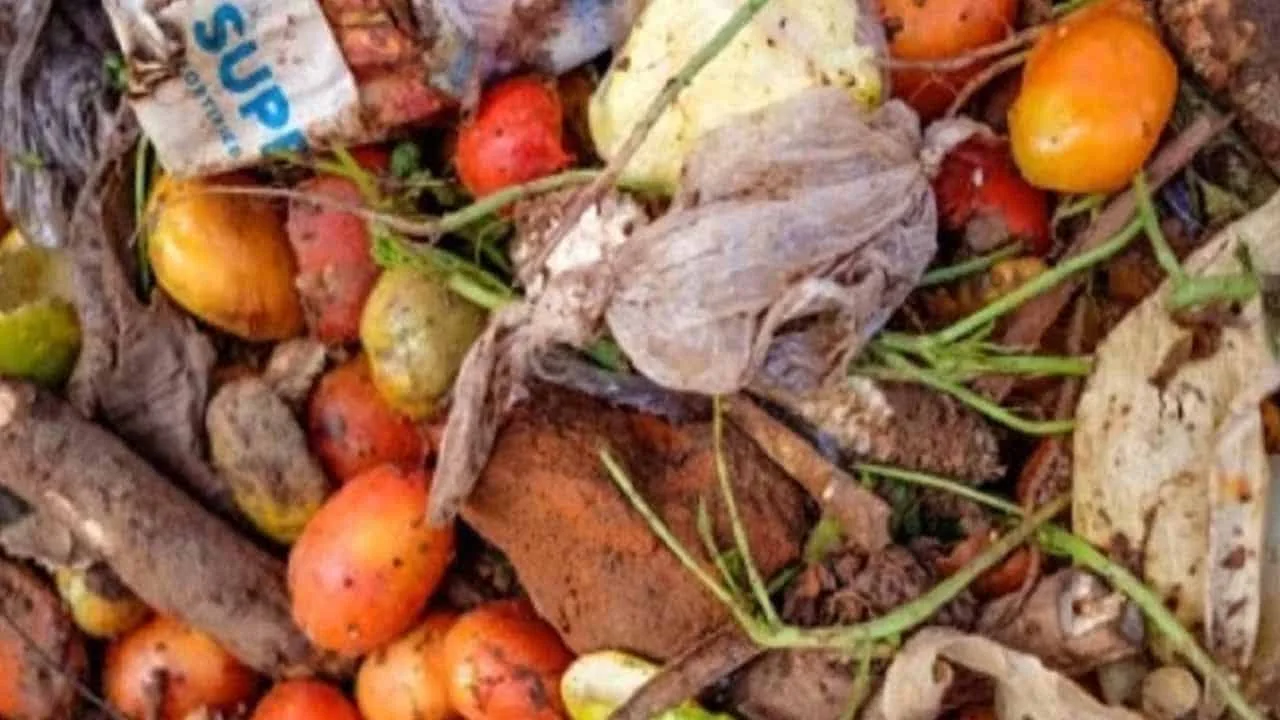 Pakistan yearly wastes food worth $4 billion, report