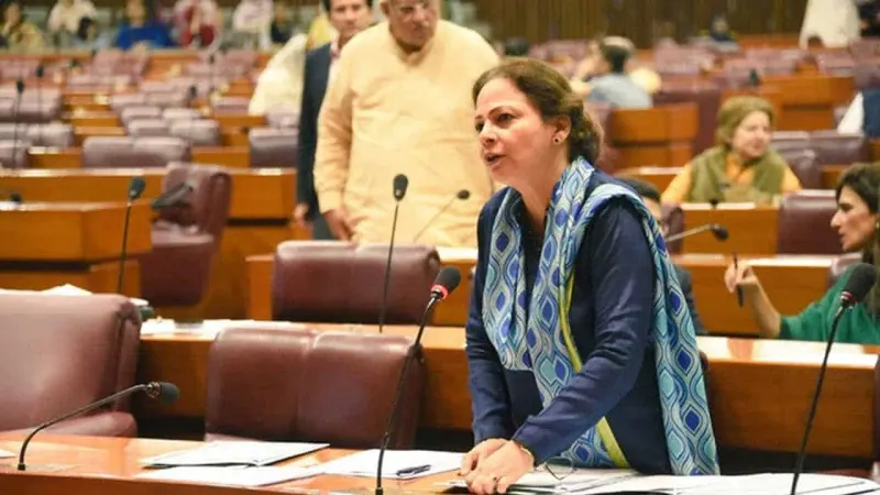 Pakistan slams IMF's 'Intervention' in internal matters
