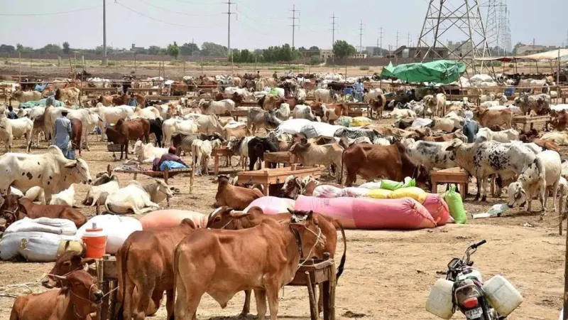 Pakistan announces Eidul Adha holidays