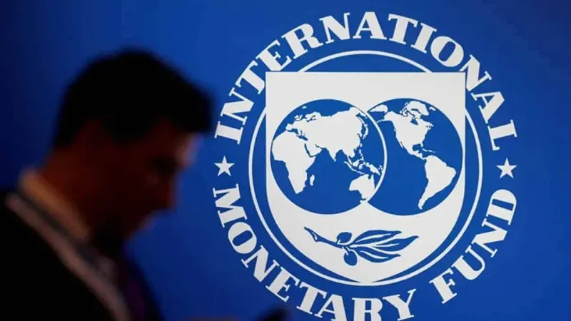 IMF not satisfied with Pakistan's budget for FY24, pushes govt to increase taxes