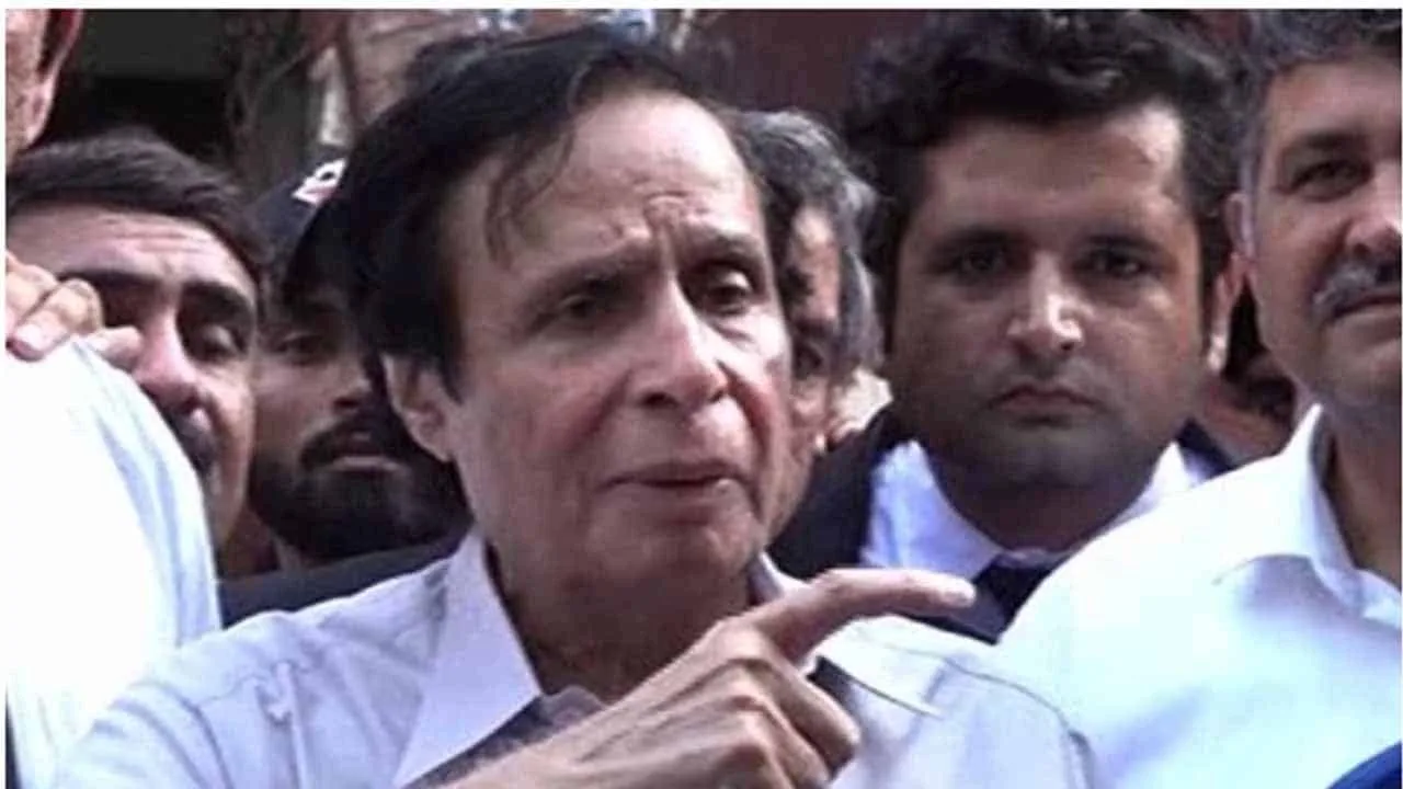 PTI’s Parvez Elahi granted bail in illegal appointments case