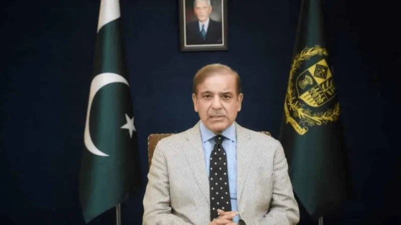 PM Shehbaz hails China for supporting Pakistan during tough economic times