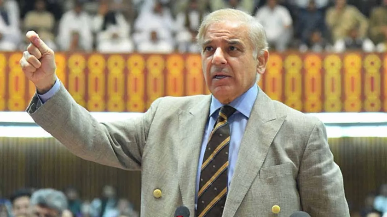 PM Shehbaz Sharif says ‘We staked our politics for state’s survival’