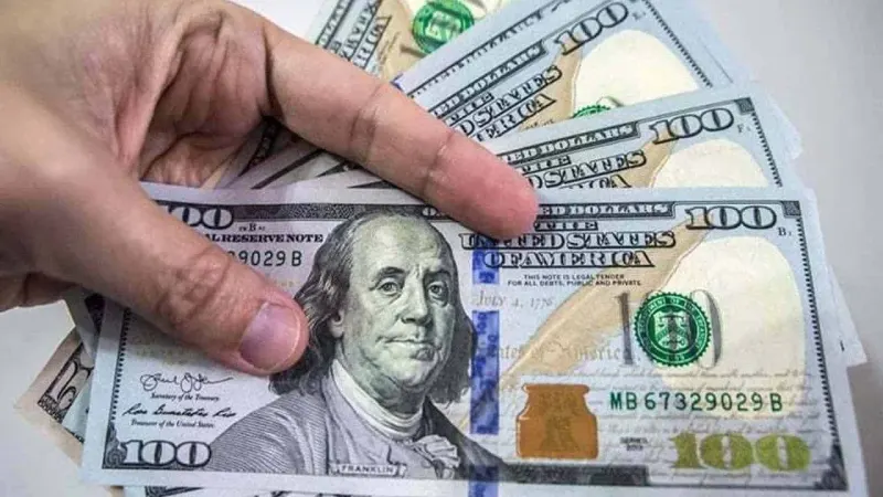 Year-on-Year Decline: Pakistan's Workers' Remittances Witness a 15.9% Drop in 2022-23