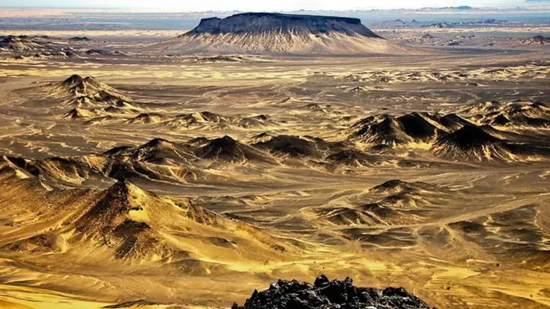 Pakistan Attracts Saudi Investment in Mining Ventures, Adviser Reports