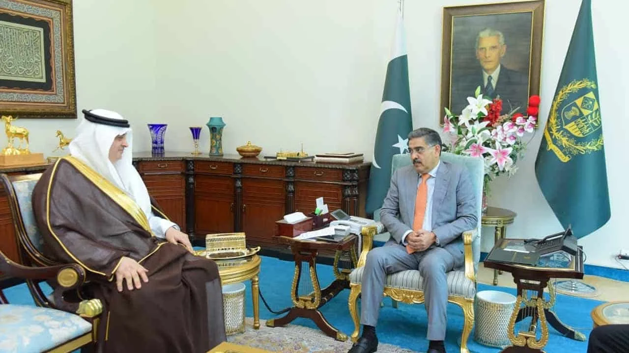 SIFC to continue working uninterrupted for fast-track foreign investment: PM